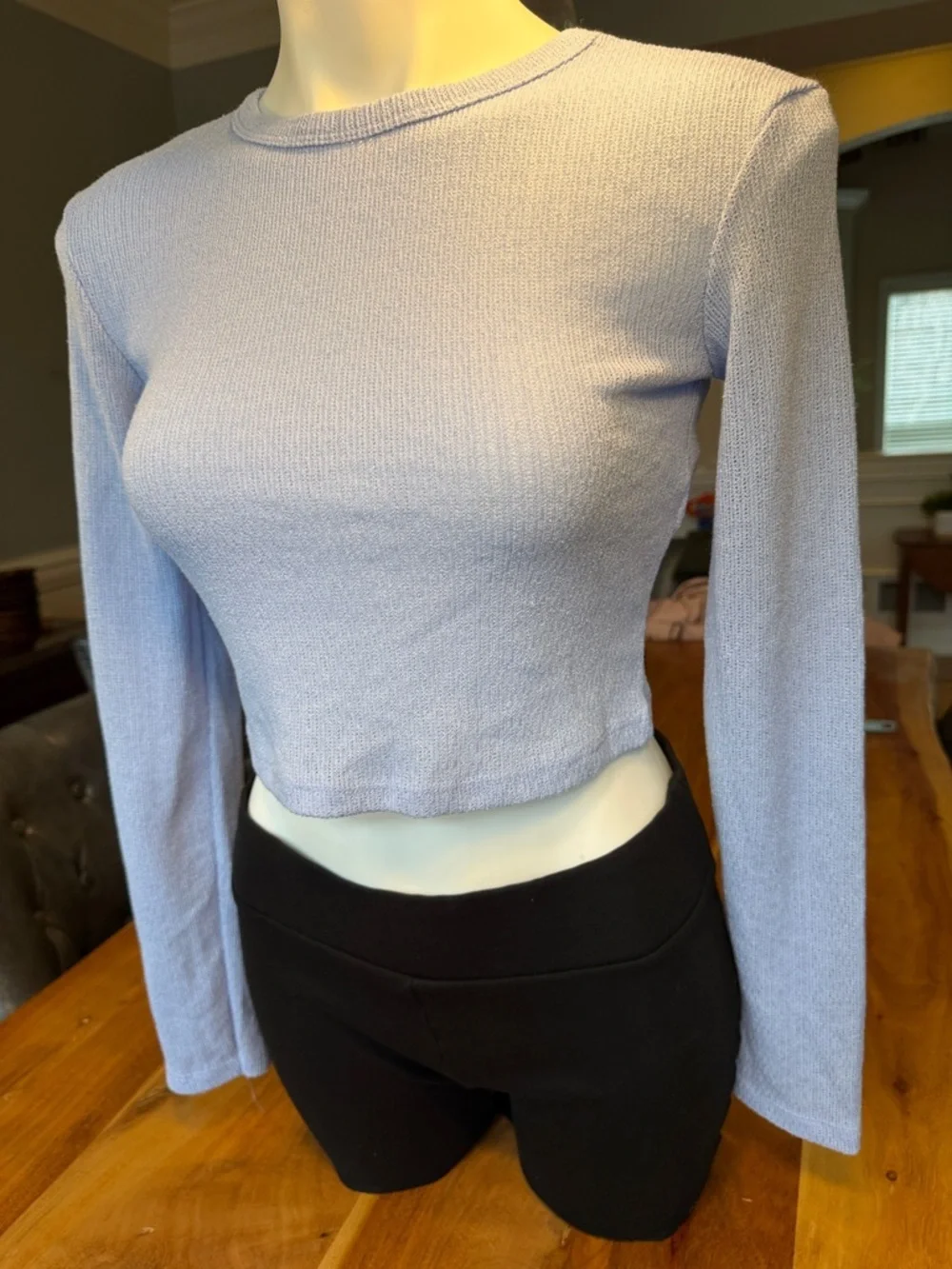 Zara Y2K Minimalist Lightweight Knit Sweater Blue Cropped Top (VGUC)